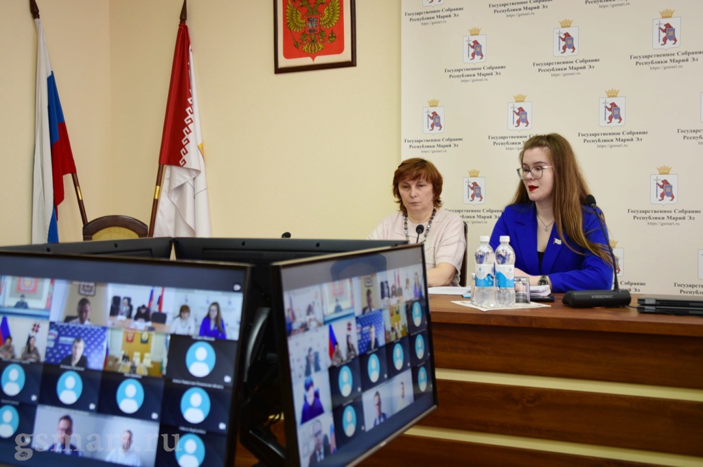 Молодые парламентарии округа обсудили  вопросы предстоящего в Самаре заседания