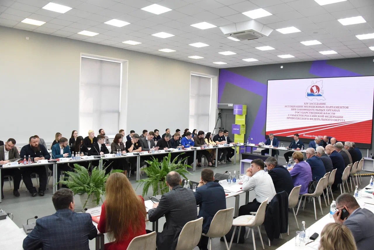 Молодые парламентарии ПФО обсудили развитие досуга сельской молодежи и кадровое обеспечение молодежной политики