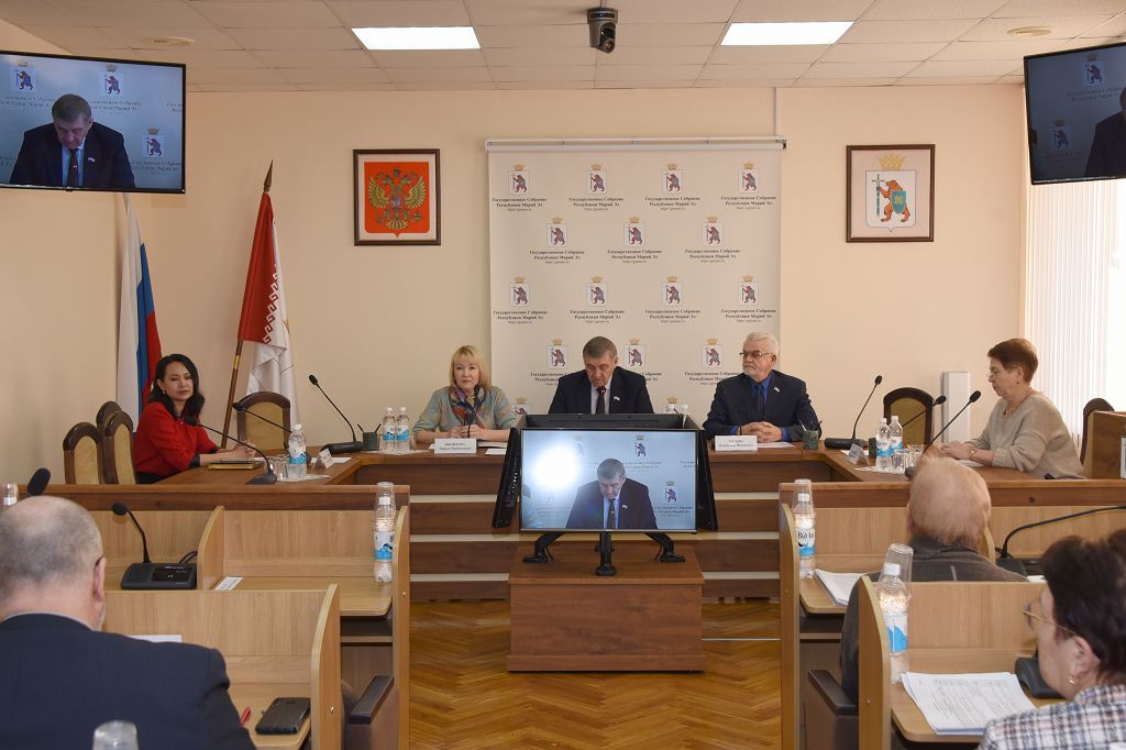 О развитии системы здравоохранения республики говорили депутаты в ходе встречи с министром