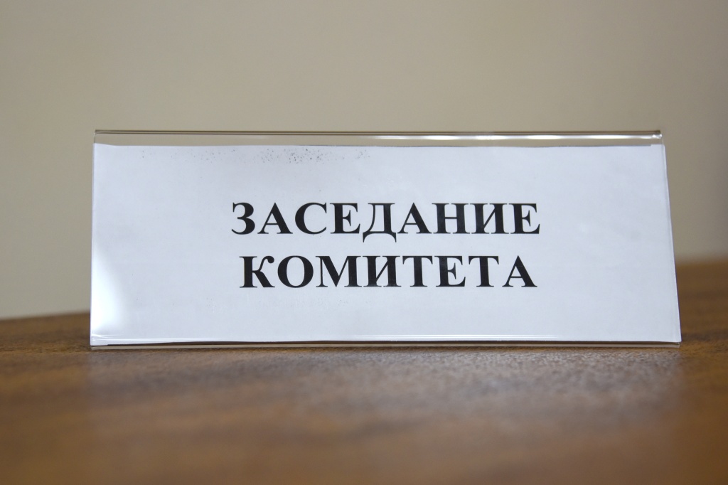 Законодательный комитет внес на рассмотрение парламента проект постановления